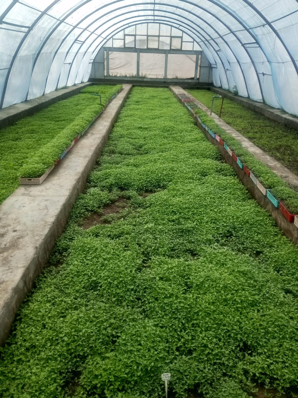 Sustainable Agriculture for a Better Future! 